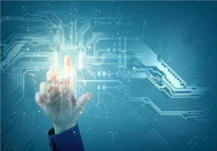 吳中區口碑佳、價格優的系統開發與互聯網信息技術服務